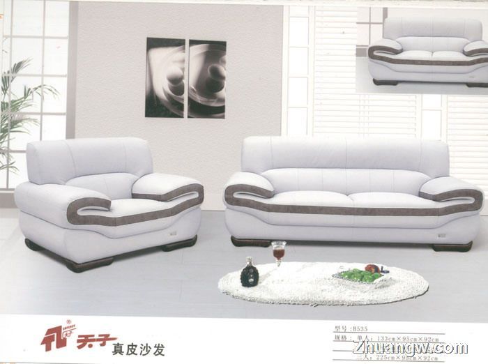 天子沙發家具圖片(九) 匠心工藝，盡顯客廳典雅風范